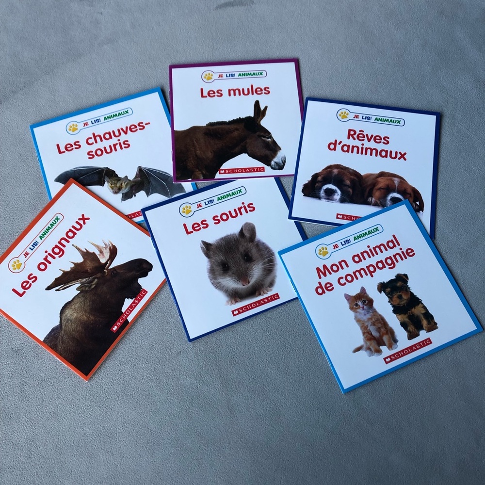 FRENCH ~ Set of 6 ~ Je Lis! Animaux Readers